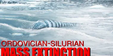 The Chilling Tale of the Ordovician-Silurian Mass Extinction