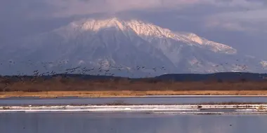 Sarobetsu Plain