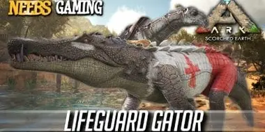 Lifeguard Gator!