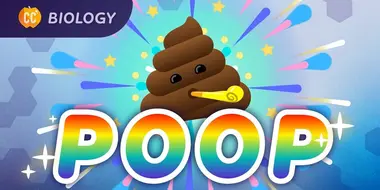 The Poop Episode: How Animals Turn Resources Into Waste