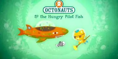 The Hungry Pilot Fish