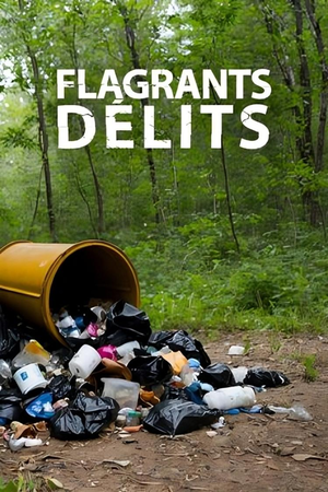 Flagrants délits