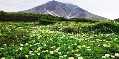 Summer of Taisetsu Mountain Range