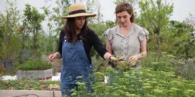 Pioneering From Farm to Table