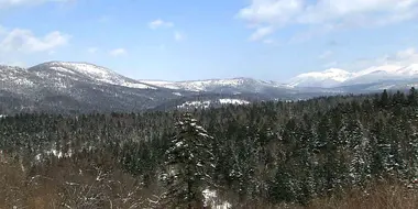 Woodlands of Furano