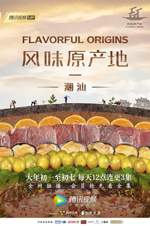 Flavorful Origins: Chaoshan