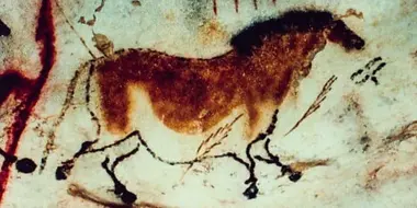 The Compulsive Communicators