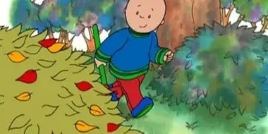 Caillou Rakes the Leaves