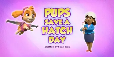 Pups Save a Hatch Day