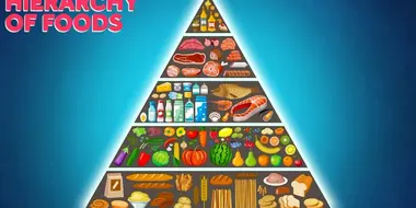 How Big Business Built the Food Pyramid