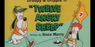 Twelve Angry Sheep