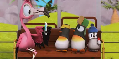 Toucan's Got Talent