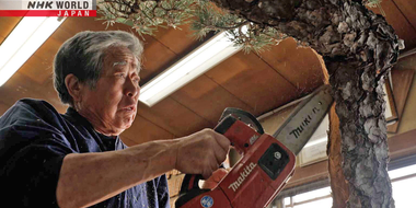 Bonsai Master - Kobayashi Kunio