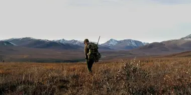 Yukon Giants: Northern Alaska Moose (1)