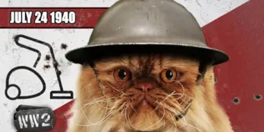 Monetize This, YouTube! - WW2 - Cat 01