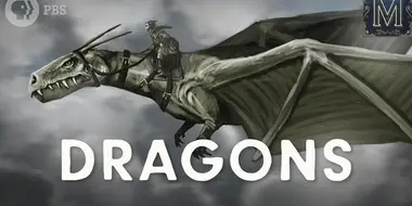 What Dragons Say About Us