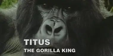 Titus: The Gorilla King