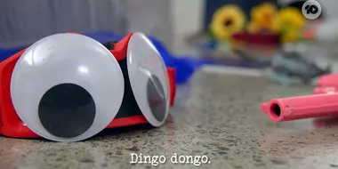 Dingo Dongo