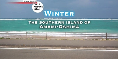 Winter - The Southern Island of Amami-Oshima