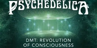 DMT: Revolution of Consciousness