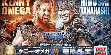 Wrestle Kingdom 13 In Tokyo Dome