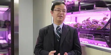 Spotlight on a Future Food Revolution: LED Grow Light Developer - Seiichi Okazaki