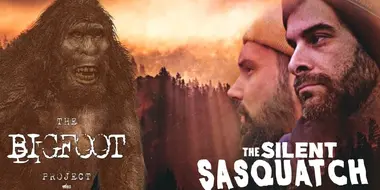 The Silent Sasquatch