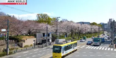 A Track of Dreams: Tokyo's Arakawa Line