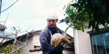 The Plant Rescuer