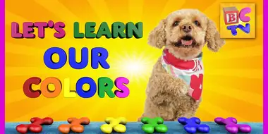 Learn Colors with Lizzy the Dog