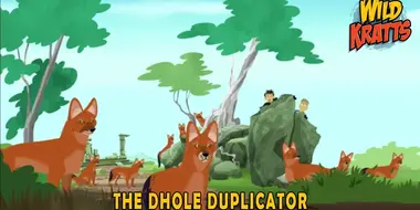 The Dhole Duplicator