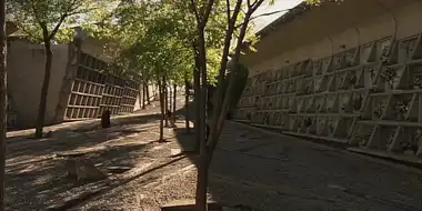 The Igualada Cemetery