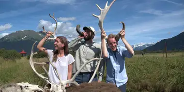 Animal Headgear