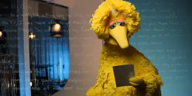 Big Bird