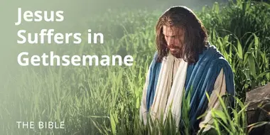 Matthew 26 | The Savior Suffers in Gethsemane