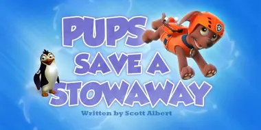 Pups Save a Stowaway