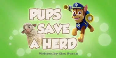 Pups Save a Herd