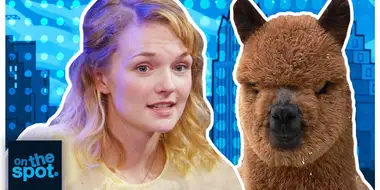 The Alpaca Show - #131