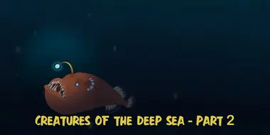 Creatures of the Deep Sea: Part 2