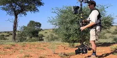 Wildlife Film Making