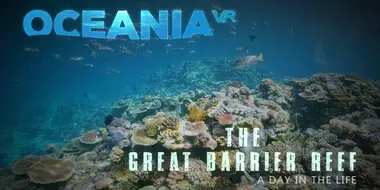 The Great Barrier Reef