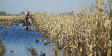 South Dakota Ducks