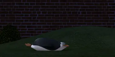 Penguiner Takes All