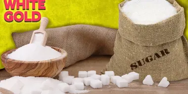 The Not So Sweet Secrets of the Sugar Industry