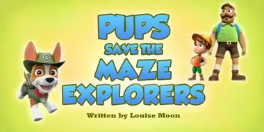 Pups Save the Maze Explorers