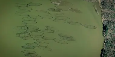 Ghost Fleet of Cannibal Bay