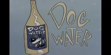 Dog Water