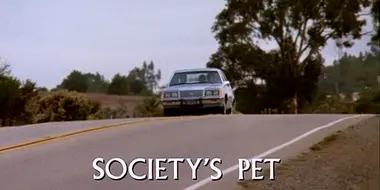 Society's Pet