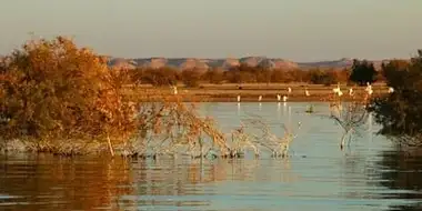 Lake Nasser