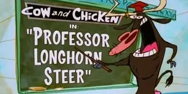 Professor Longhorn Steer